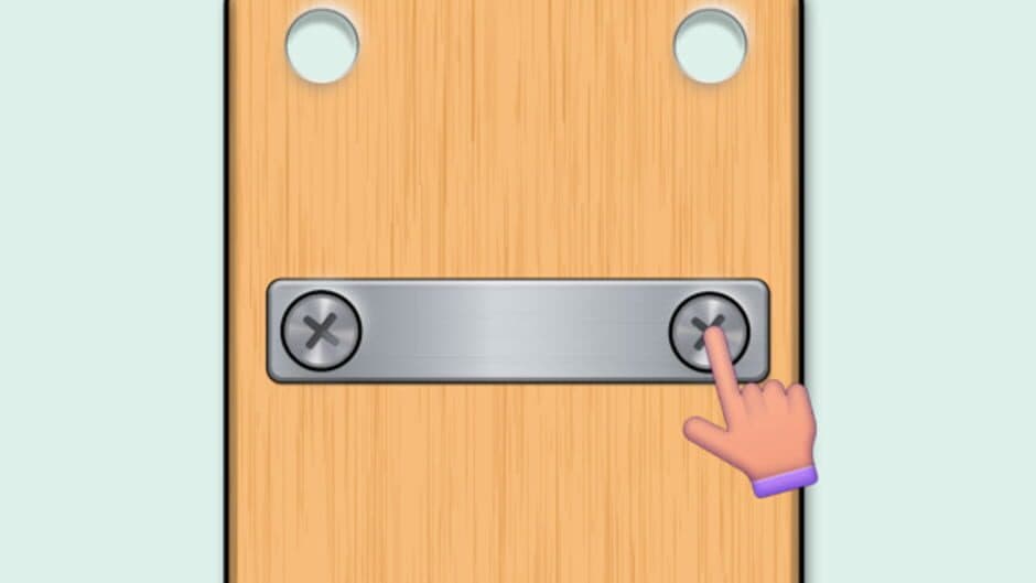 Nuts & Bolts Puzzle