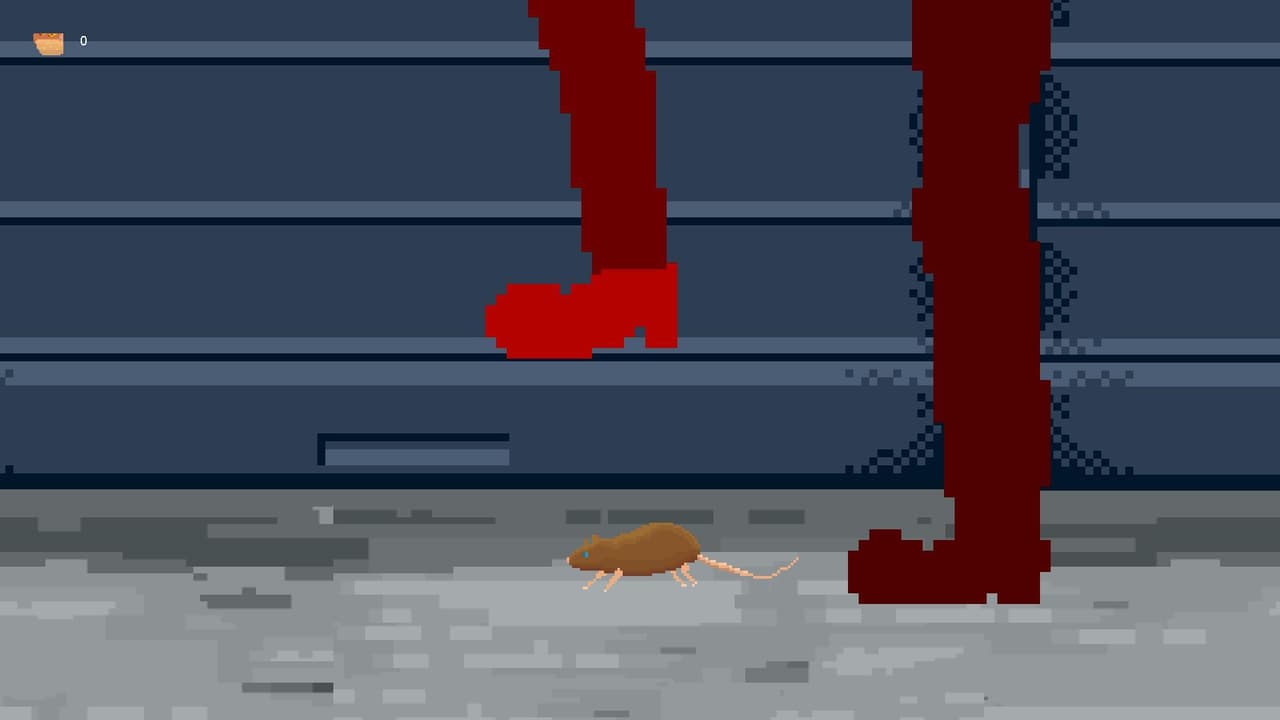 A Rats Story
