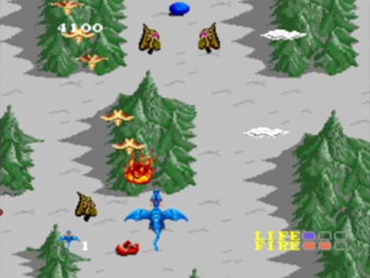 Dragon Spirit screenshot 4