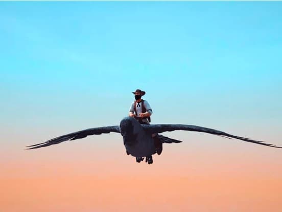 Raven Crow Flight Simulator 3d