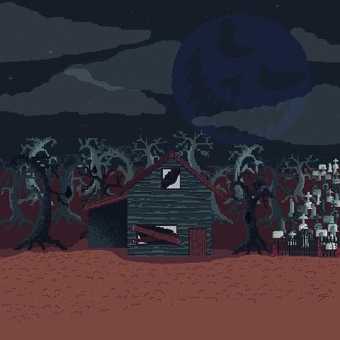 My Pumpkin Patch