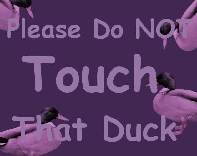 Please Do Not Touch That Duck