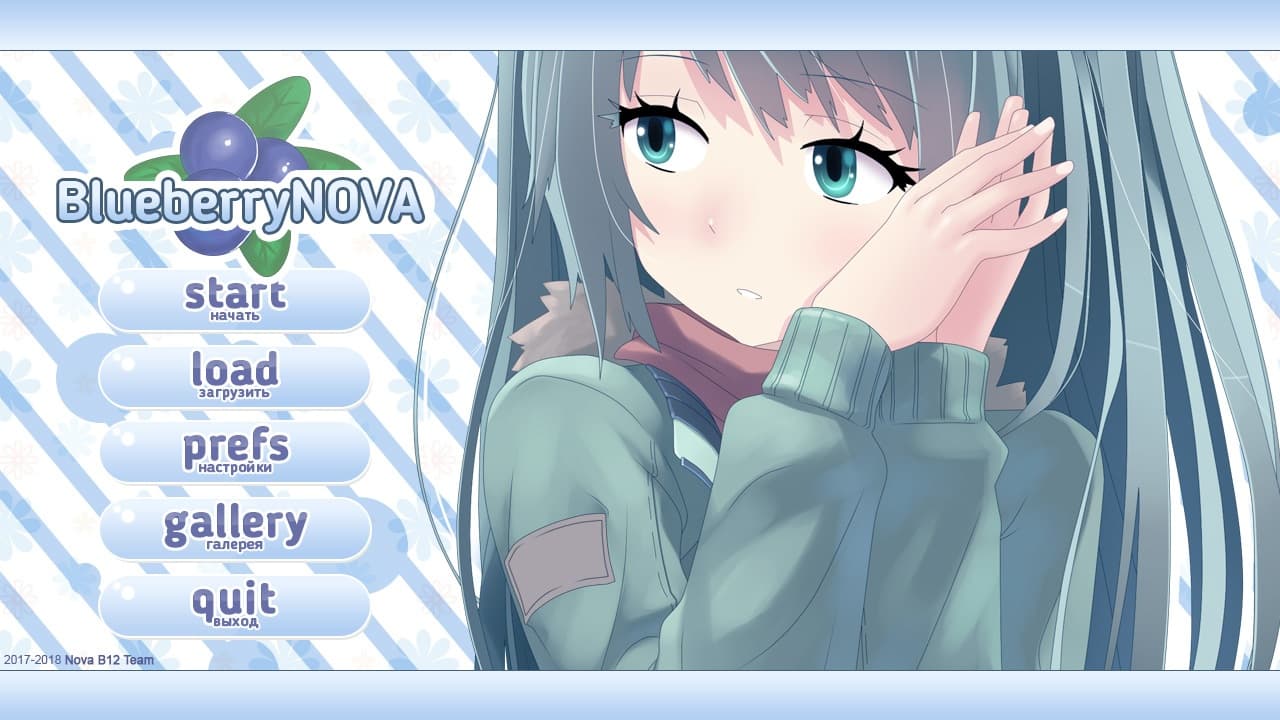 BlueberryNOVA screenshot 2