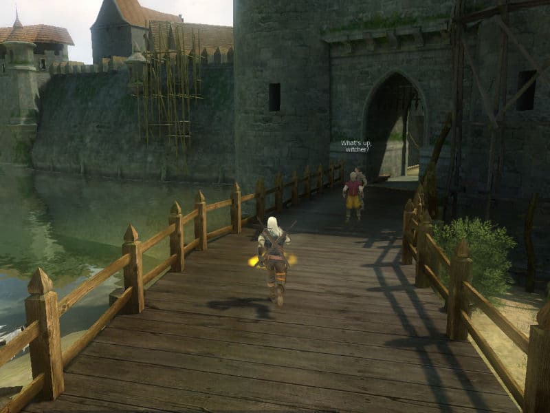 The Witcher screenshot 2