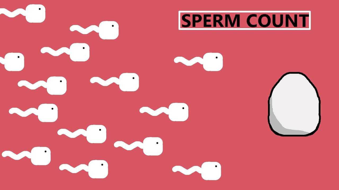 Sperm Count