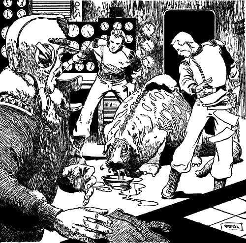 The Wub - a 7-minute interactive fiction game