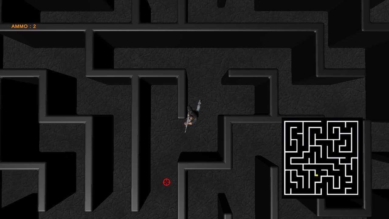 Maze Survivor (ReshmaDombale) (ReshmaDombale) screenshot 3