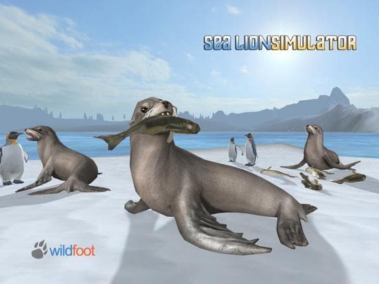 Sea Lion Simulator screenshot 3