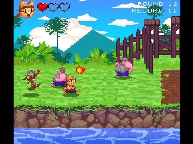 Coñaripe screenshot 5