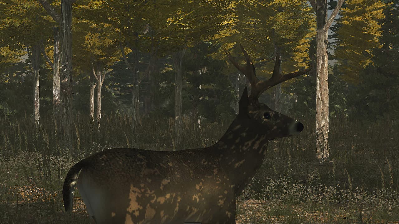 Deer Simulator screenshot 5