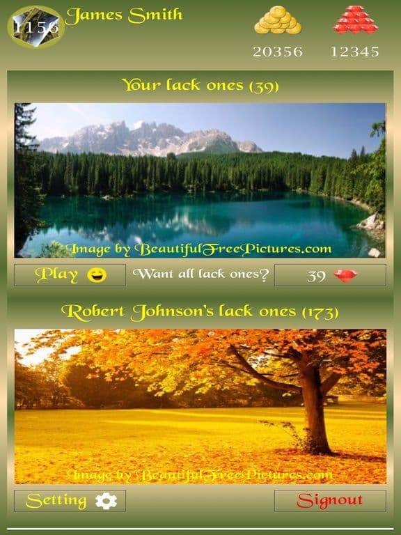 Beautiful Picture Puzzle Z screenshot 3