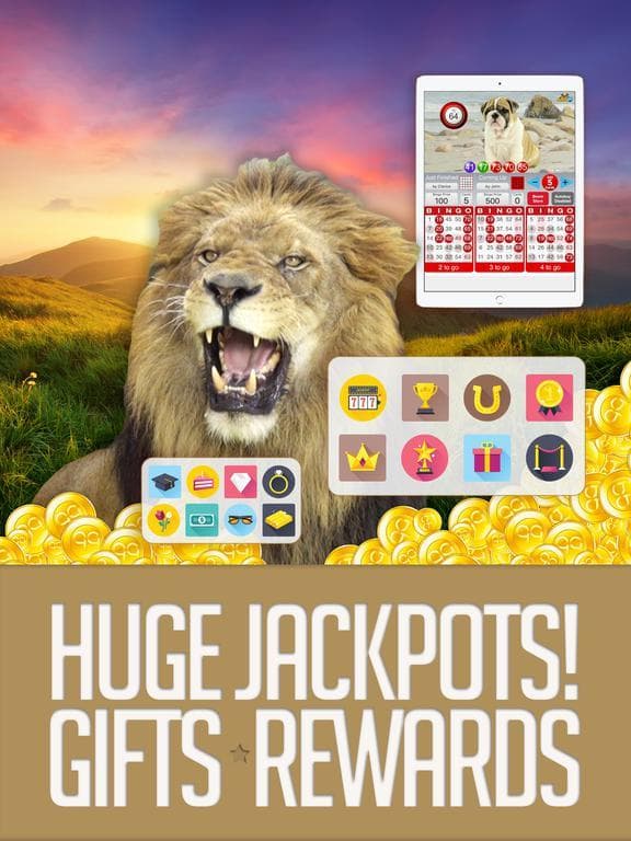BOOM BINGO: Live Video & Slots screenshot 5