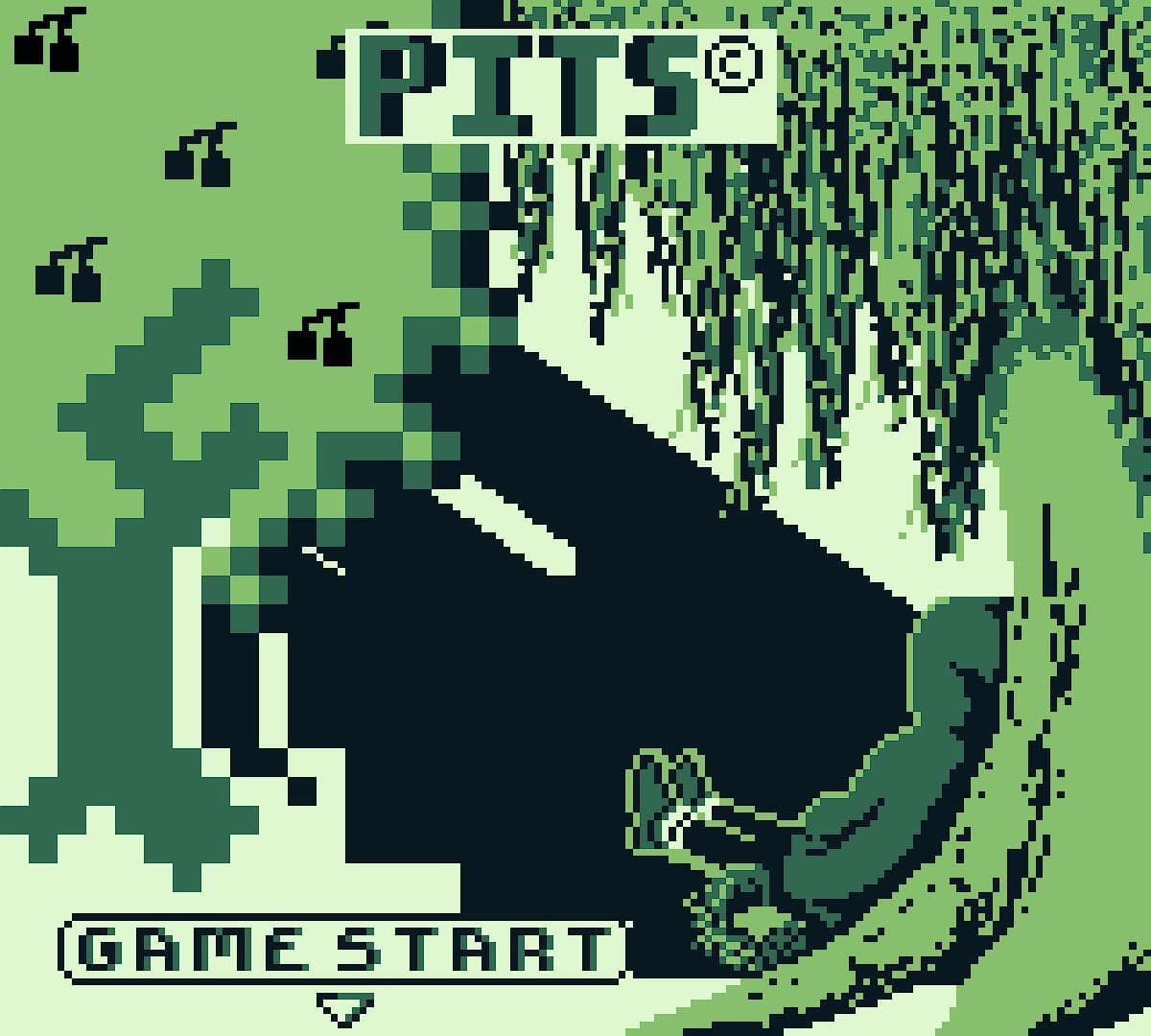 Pits