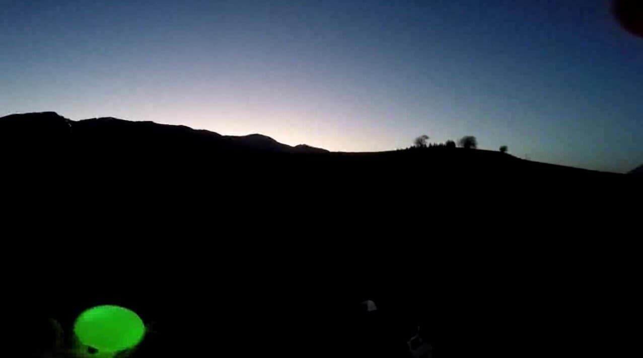 BorderCollie Game screenshot 2