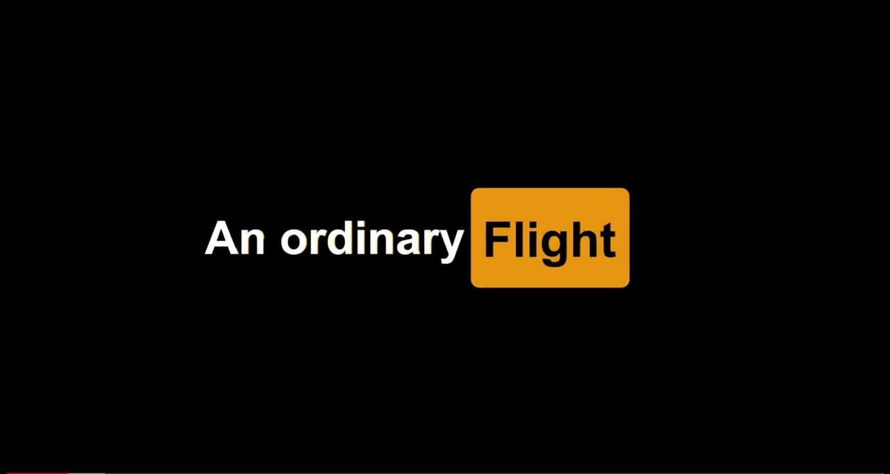 An Ordinary Flight