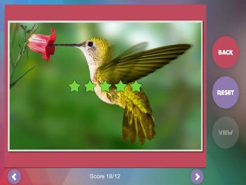 Déjà Vu - Zoo screenshot 5
