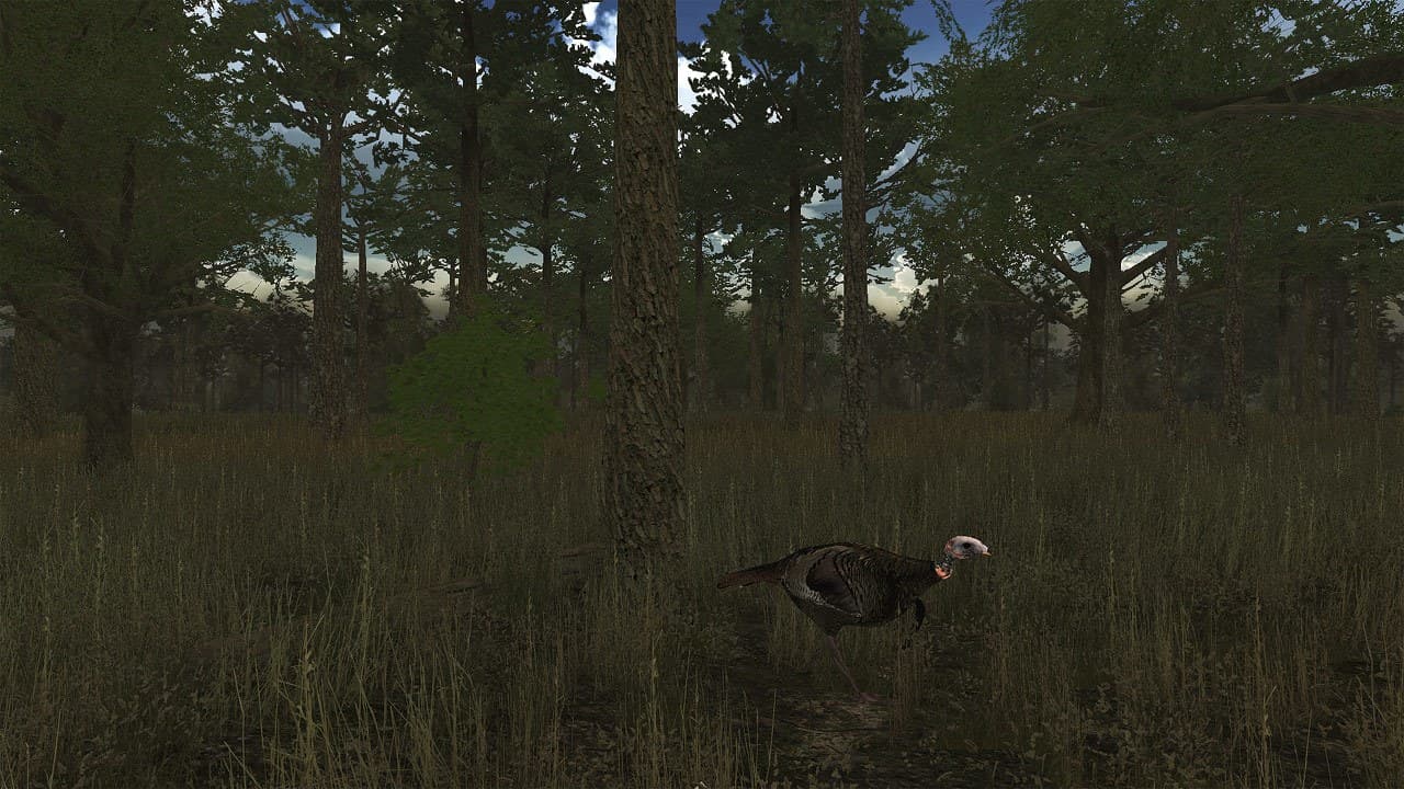 Wild Turkey Hunter VR