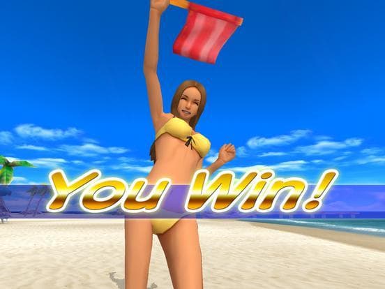 Beach Flag Paradise screenshot 6