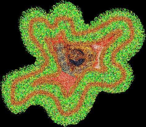 SLIME MOLD SIMULATOR: ATTACK OF THE BLOB