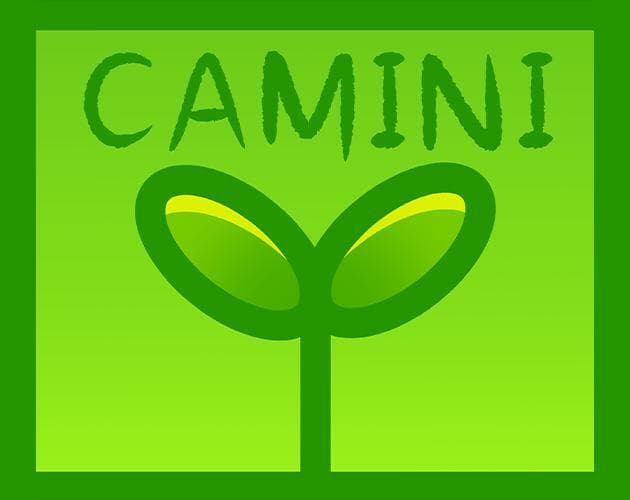 Camini