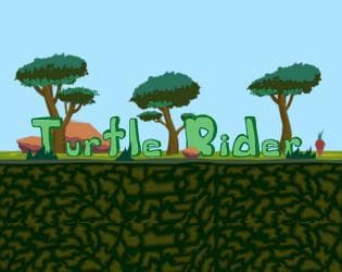 Turtle Rider