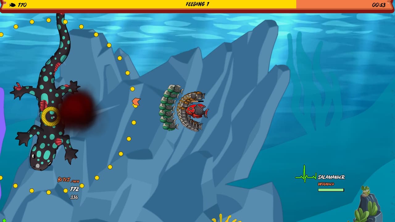 Piranha Feeding