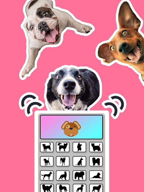 Bark! - Dog Translator