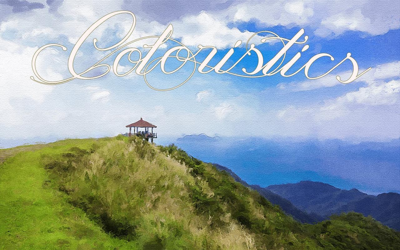 Coloristics