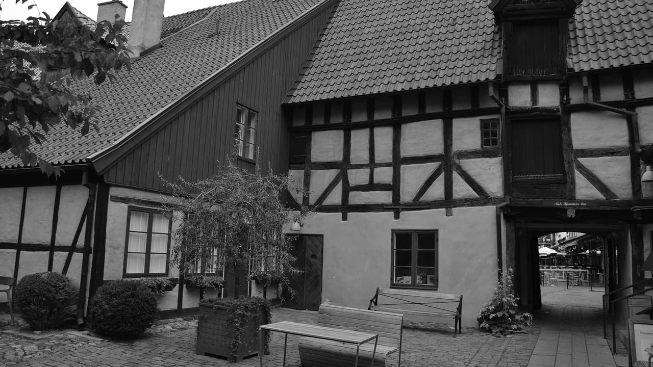 10 Gnomes in Malmo screenshot 3