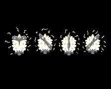 Binary Dream