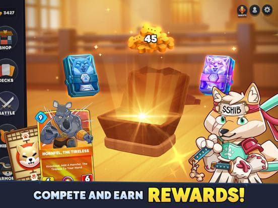 Shiba Eternity