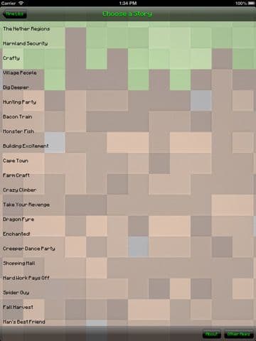 Mine Libs - Ad Libs for Minecraft screenshot 3