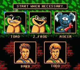 Pause Screen From Battletoads/ Double Dragon screenshot 2