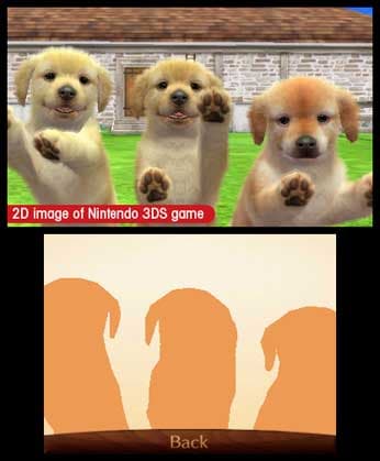 nintendogs + cats: Golden Retriever & New Friends screenshot 2