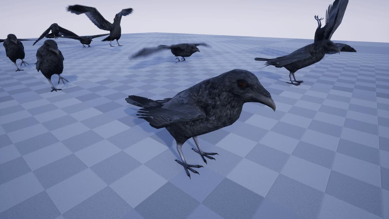 BirdVR screenshot 5