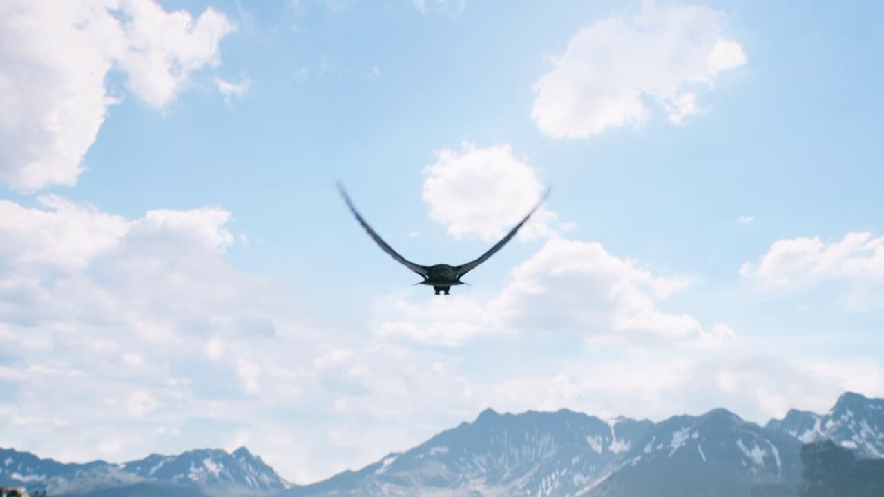 FREEDOM screenshot 5