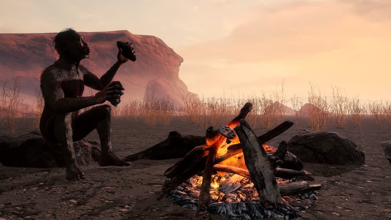 Oika screenshot 4