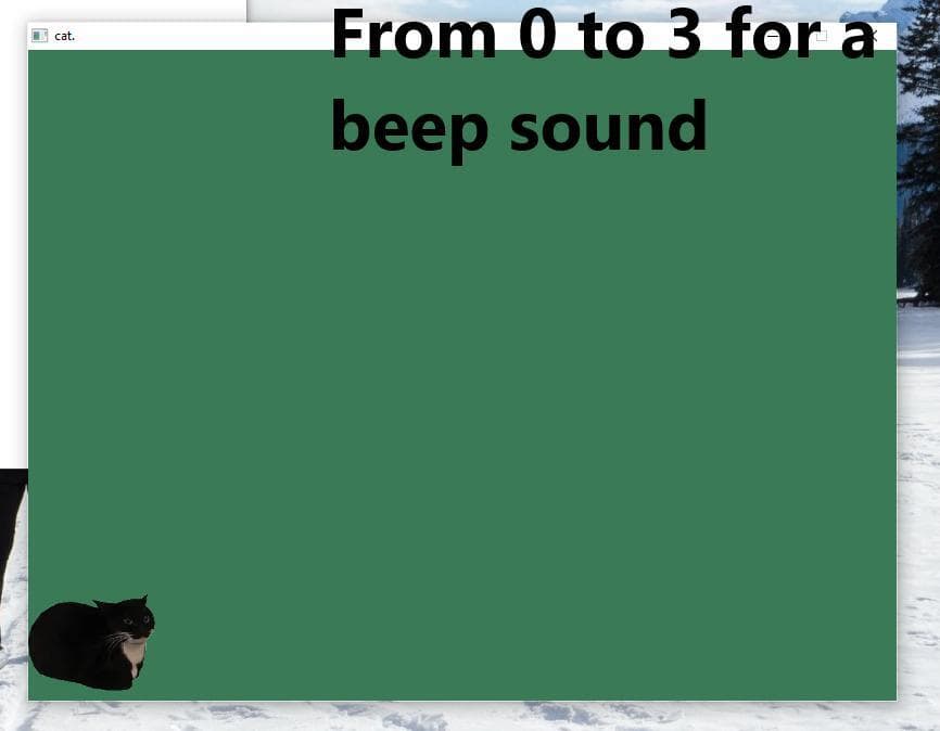 cat. screenshot 2