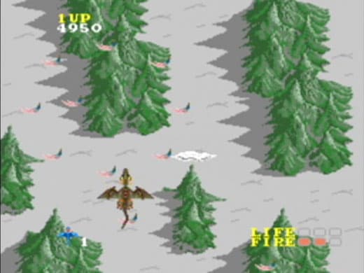 Dragon Spirit screenshot 5
