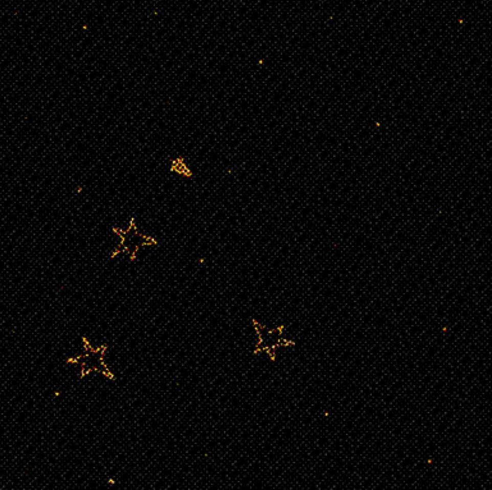 SPACEBIRD screenshot 2