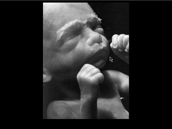 Alter Ego (1986) screenshot 4