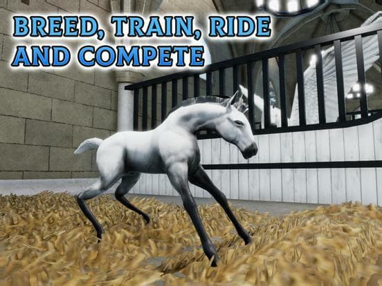 Horse Academy Island screenshot 6