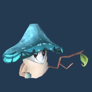 Mr Fungi