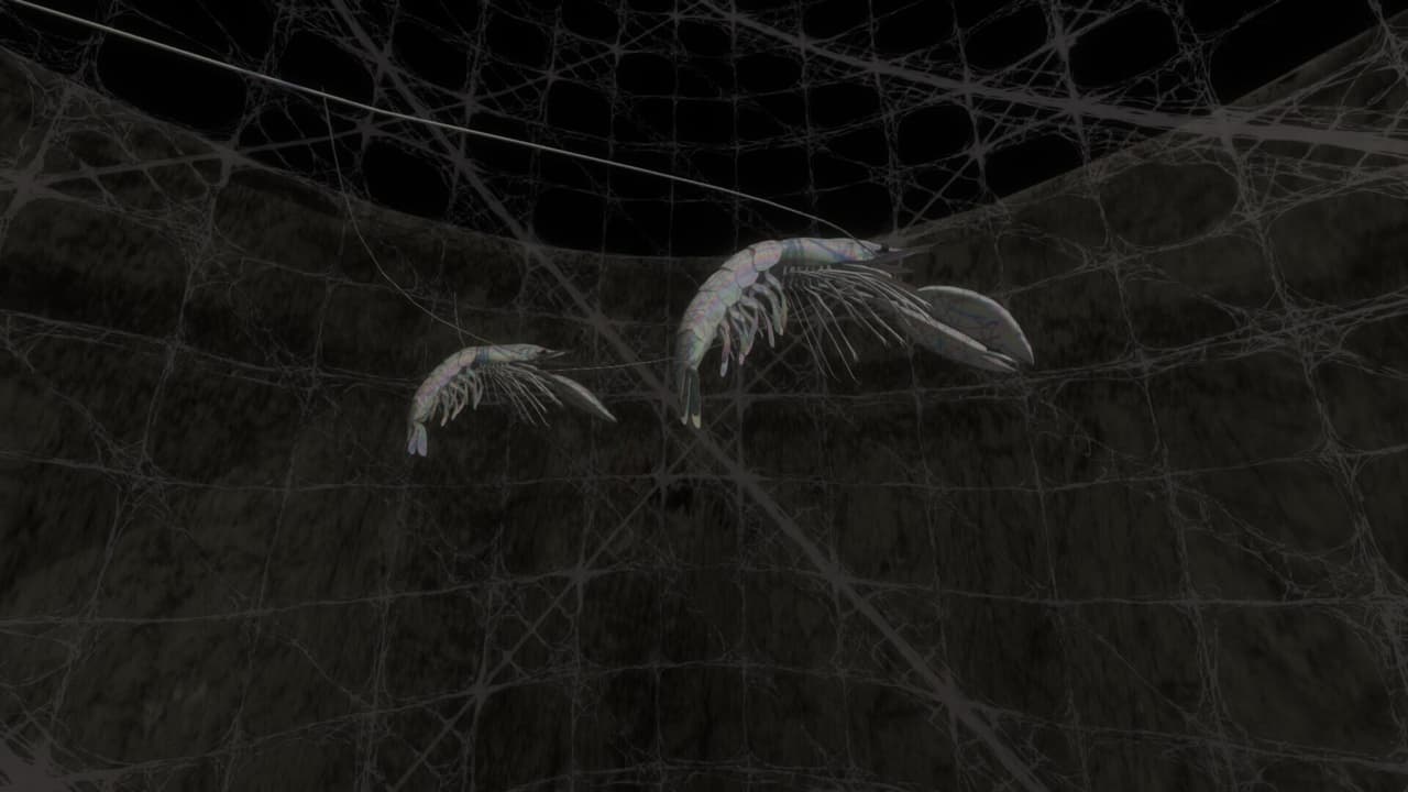 VR Film - My Inner Ear Quartet screenshot 4