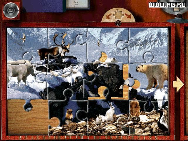 Digital Photo Puzzle screenshot 2