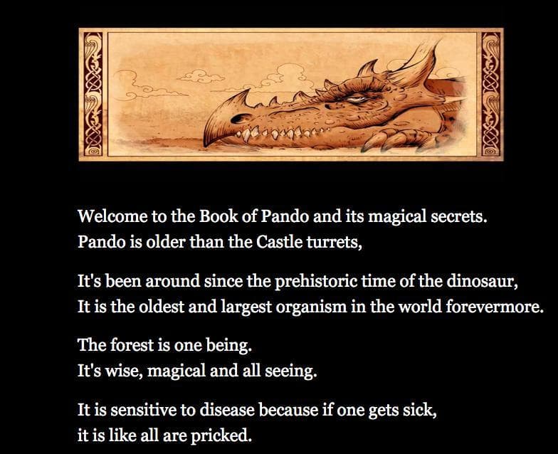 Pando