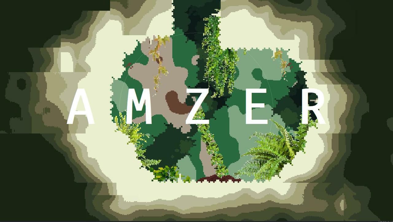 Amzer