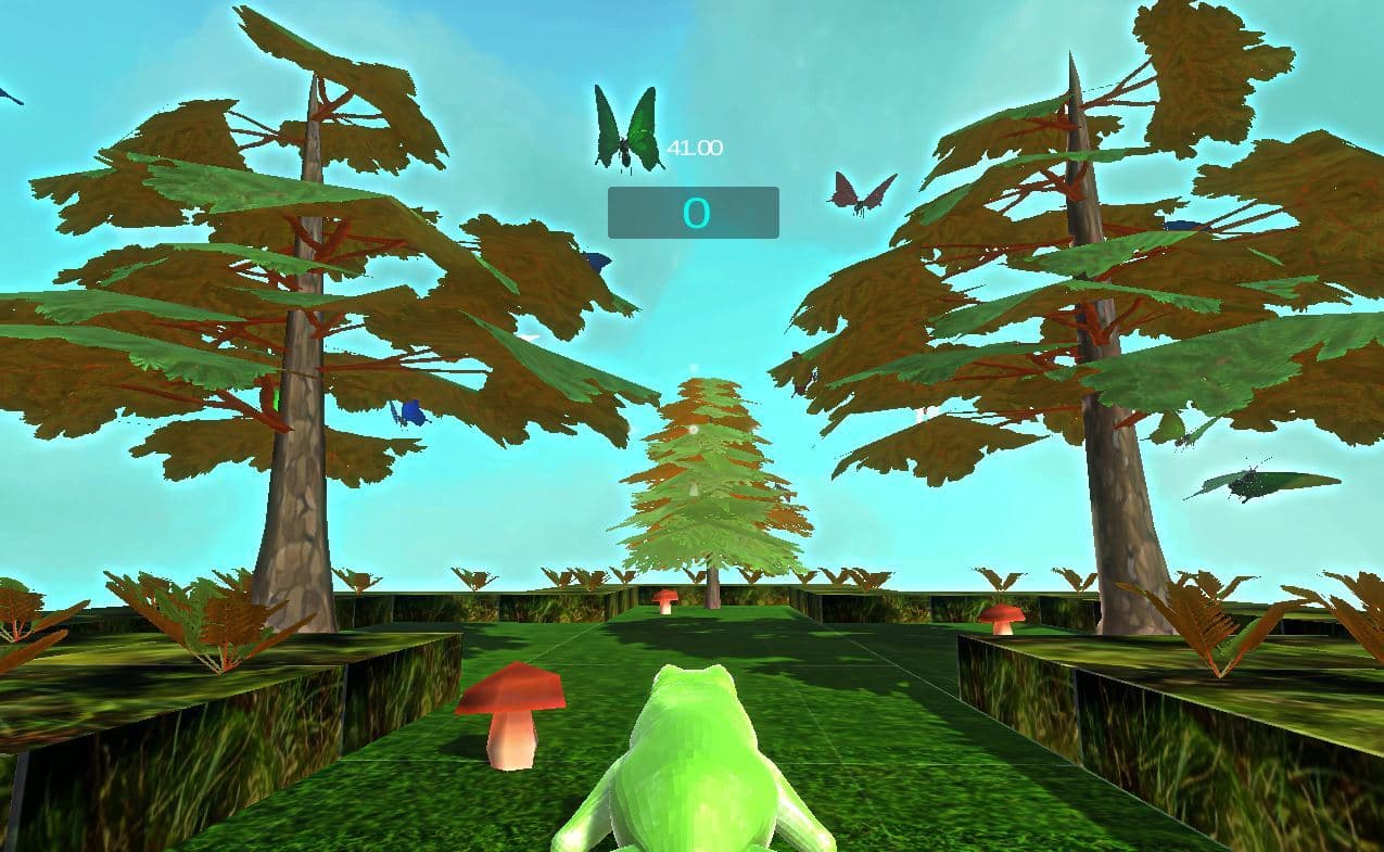 Frog Feeder