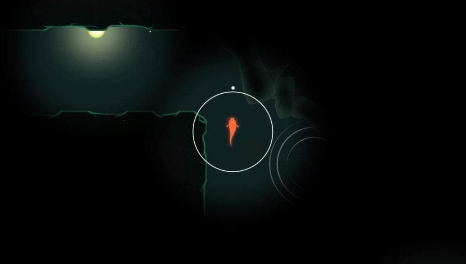 KOI screenshot 2