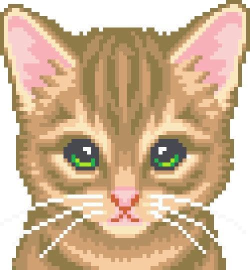 A cat button